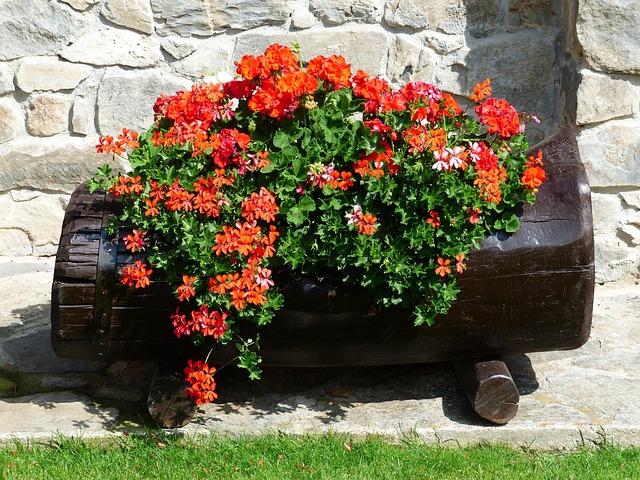 Gartenarbeit Gartenarbeit