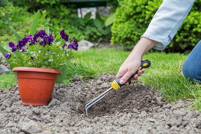 Hausmeisterservice Hausmeisterservice