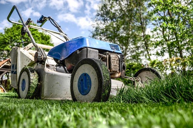 Gartenarbeit Gartenarbeit