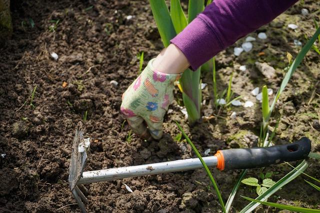 Gartenarbeit Gartenarbeit